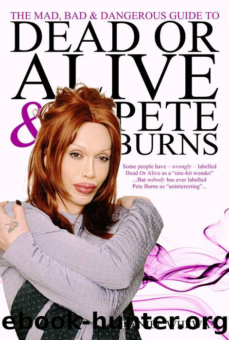 The Mad, Bad and Dangerous Guide to Dead Or Alive and Pete Burns by Daniel Wheway