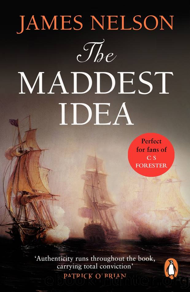 The Maddest Idea by James Nelson