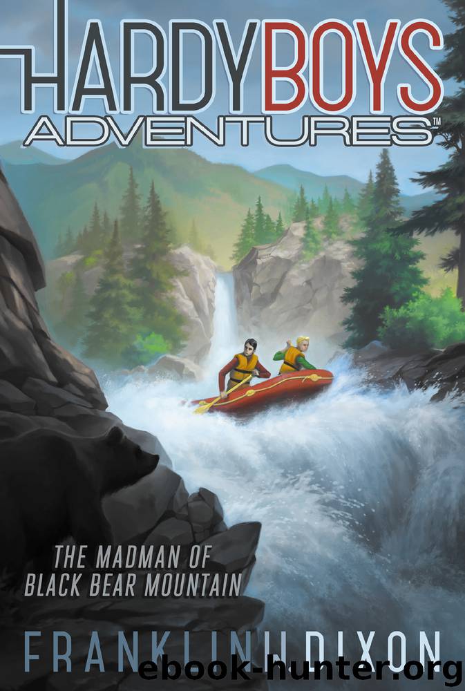The Madman of Black Bear Mountain by Franklin W. Dixon