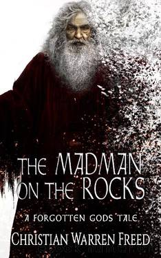 The Madman on the Rocks by Christian Warren Freed
