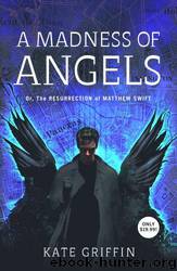 The Madness of Angels by Kate Griffin