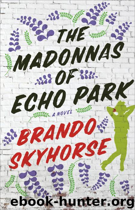 The Madonnas of Echo Park by Brando Skyhorse