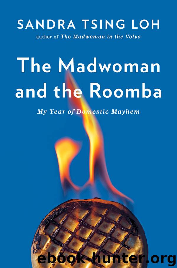 The Madwoman and the Roomba by Sandra Tsing Loh