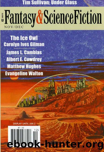 The Magazine of Fantasy & Science Fiction NovemberDecember 2011 (The Magazine of Fantasy & Science Fiction Book 121) by unknow
