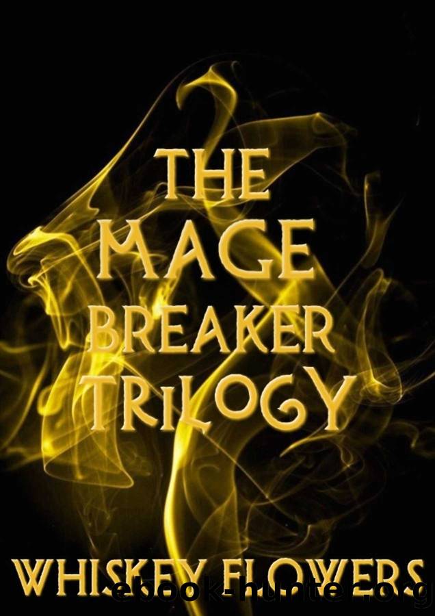 The Mage Breaker by Whiskey Flowers