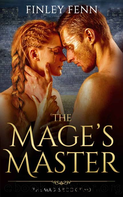 The Mage's Master by Finley Fenn