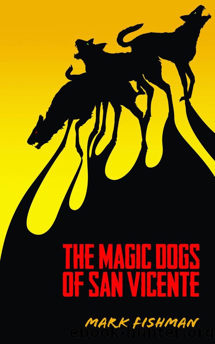 The Magic Dogs of San Vincente by Mark Fishman