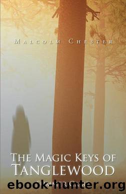 The Magic Keys of Tanglewood by Malcolm Chester