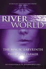 The Magic Labyrinth by Farmer Philip José