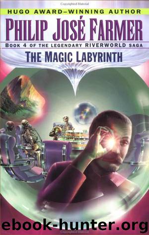 The Magic Labyrinth by Philip Jose Farmer