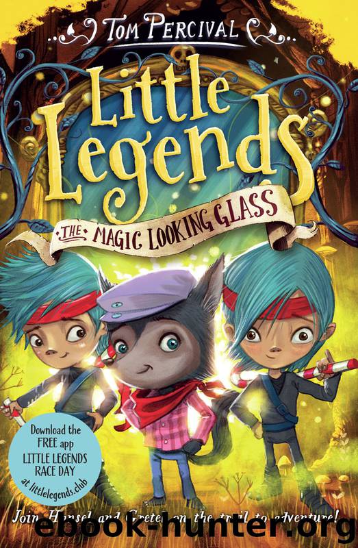 The Magic Looking Glass by Tom Percival