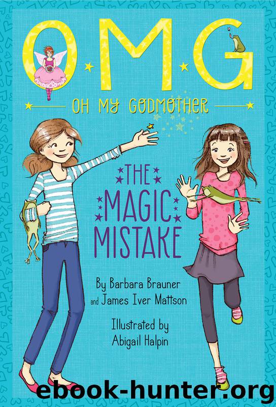 The Magic Mistake by Barbara Brauner