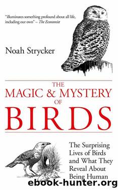 The Magic and Mystery of Birds by Noah Strycker