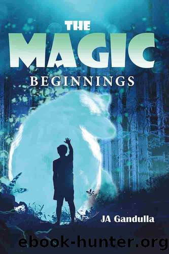 The Magic by JA Gandulla