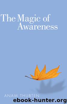 The Magic of Awareness by Anam Thubten