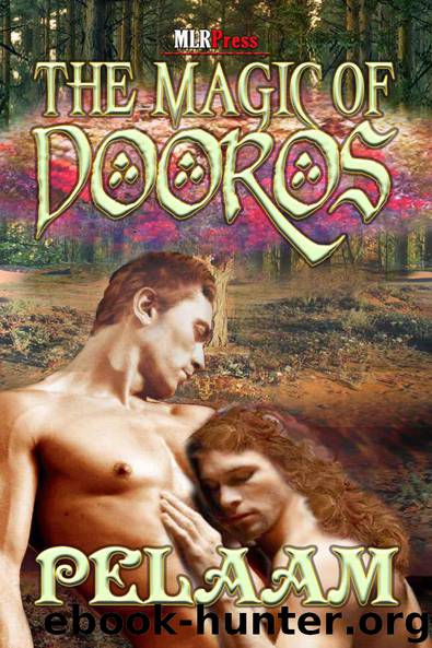 The Magic of Dooros by Pelaam
