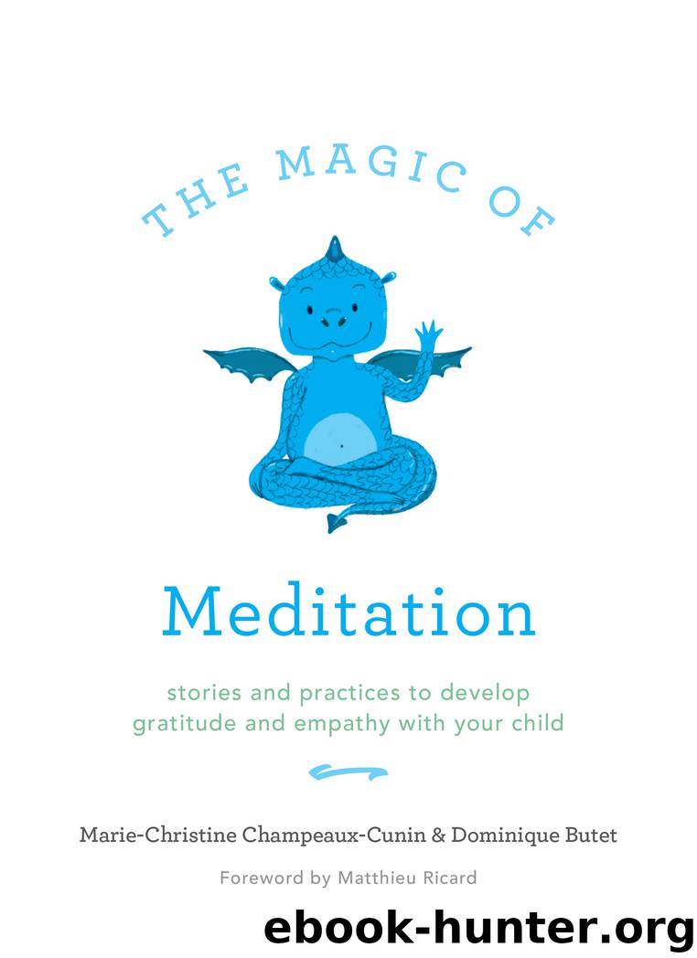The Magic of Meditation by Marie Champeaux-Cunin & Dominique Butet