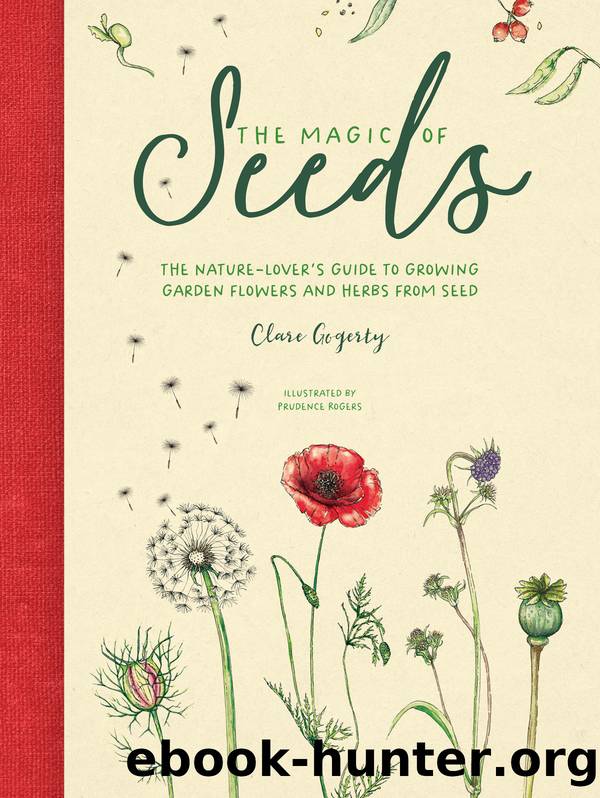 The Magic of Seeds by Clare Gogerty