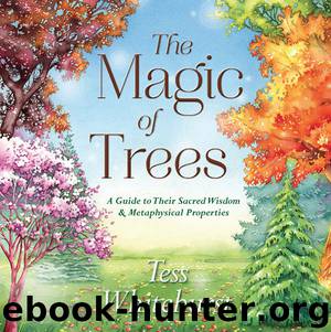 The Magic of Trees: A Guide to Their Sacred Wisdom & Metaphysical Properties by Tess Whitehurst