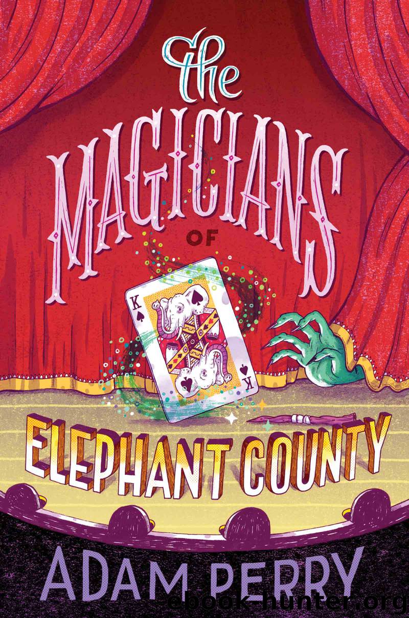 The Magicians of Elephant County by Adam Perry