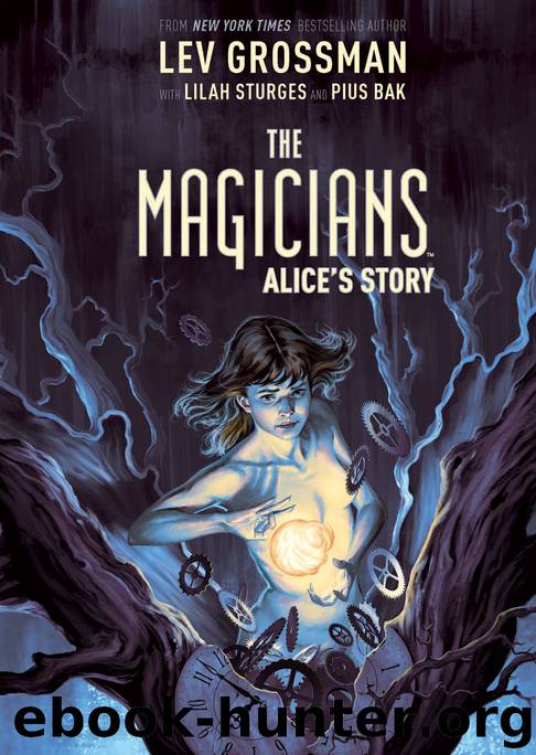 The Magicians: Alice’s Story Original Graphic Novel by Lev Grossman & Lilah Sturges