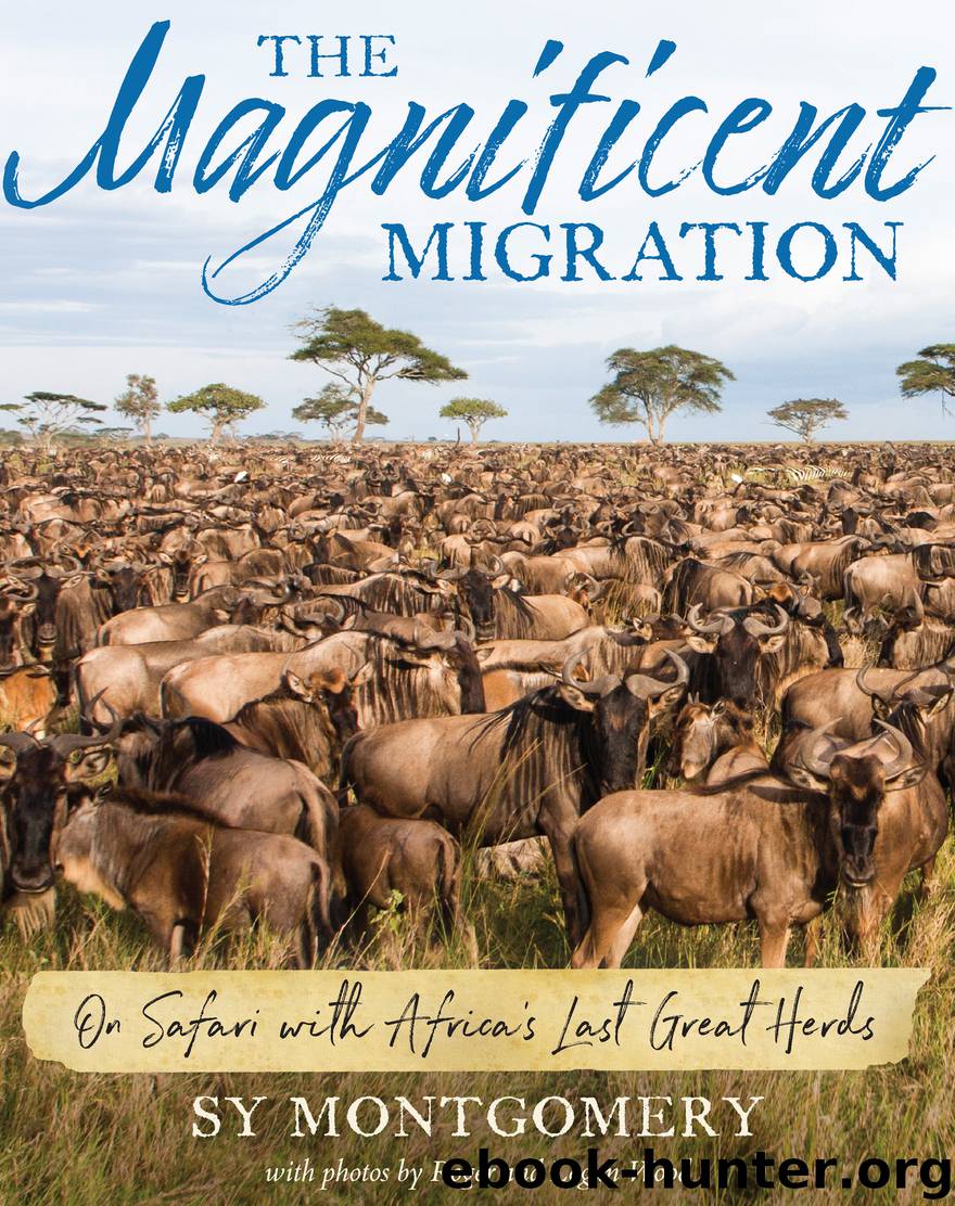 The Magnificent Migration by Sy Montgomery