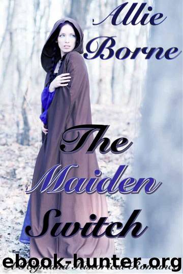 The Maiden Switch by Borne Allie