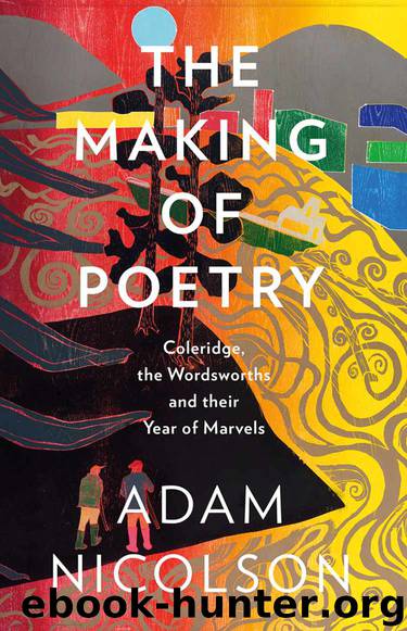 The Making of Poetry: Coleridge, the Wordsworths and Their Year of Marvels by Adam Nicolson