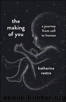 The Making of You by Katharina Vestre