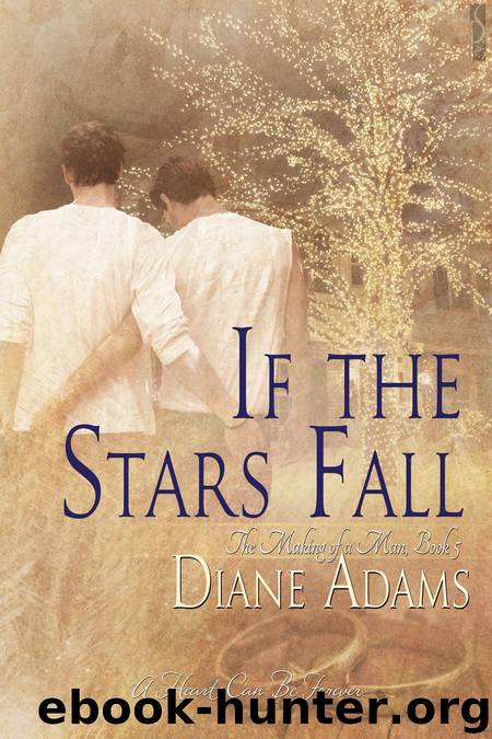 The Making of a Man #5_If the Stars Fall by Diane Adams