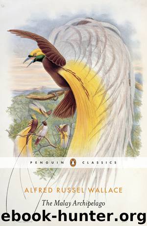 The Malay Archipelago: The Land of the Orang-utan, and the Bird of Paradise. A Narrative of Travel, with Studies of Man and Nature by Alfred Russel Wallace