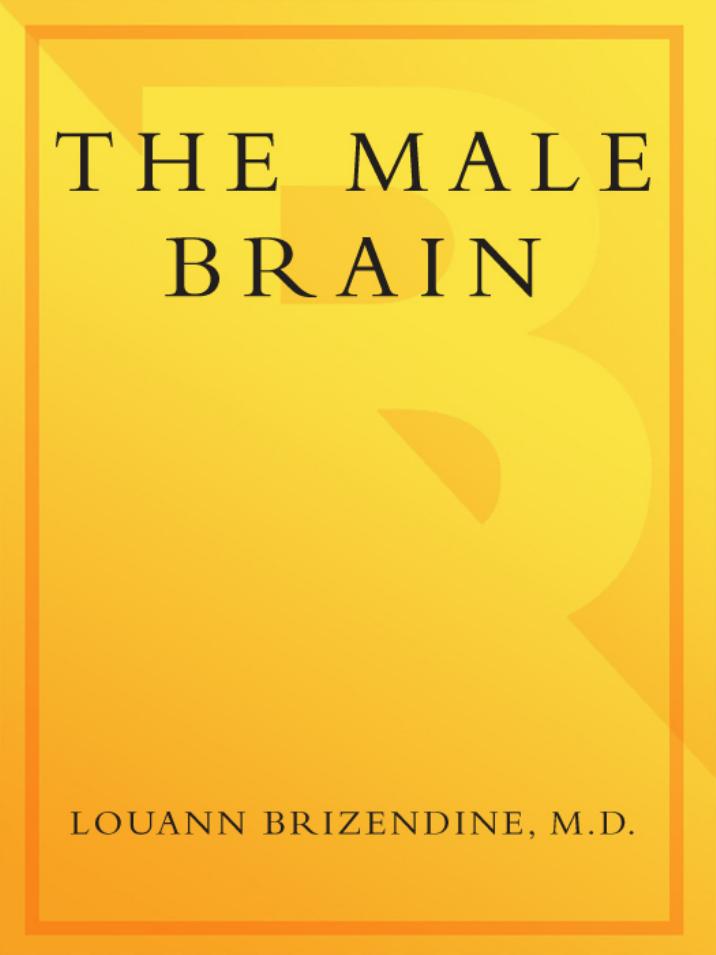 The Male Brain by Louann Brizendine M.D