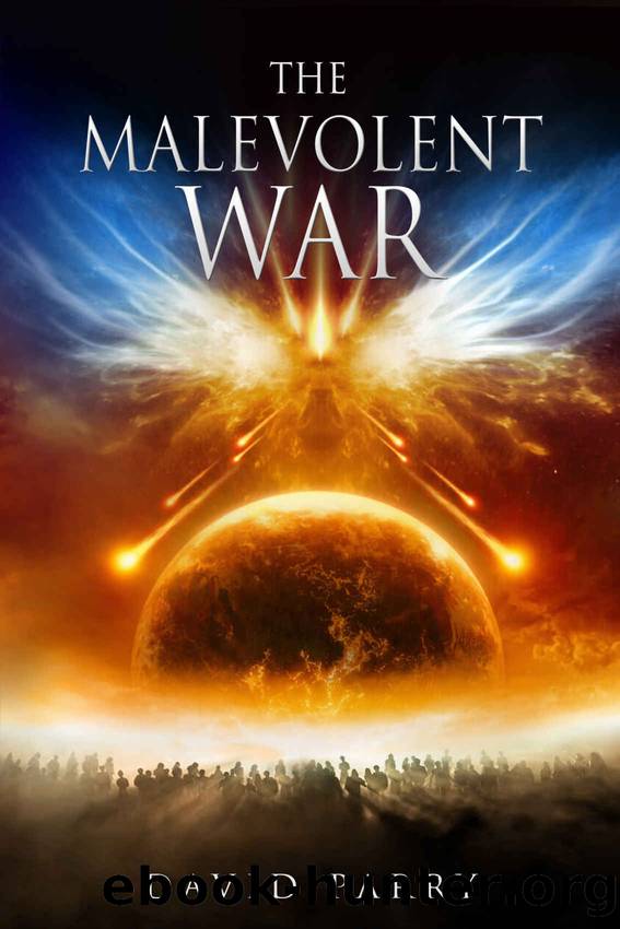 The Malevolent War by David Parry