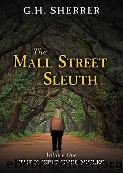 The Mall Street Sleuth by G. H. Sherrer