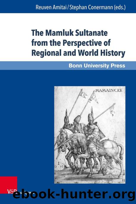 The Mamluk Sultanate from the Perspective of Regional and World History (9783737004114) by Unknown