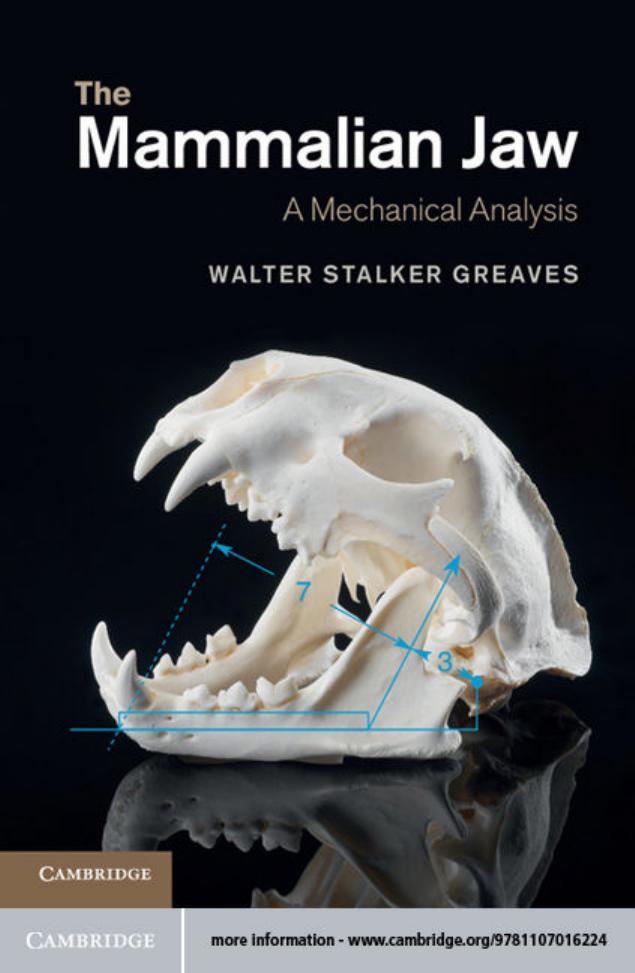 The Mammalian Jaw: A Mechanical Analysis by Unknow