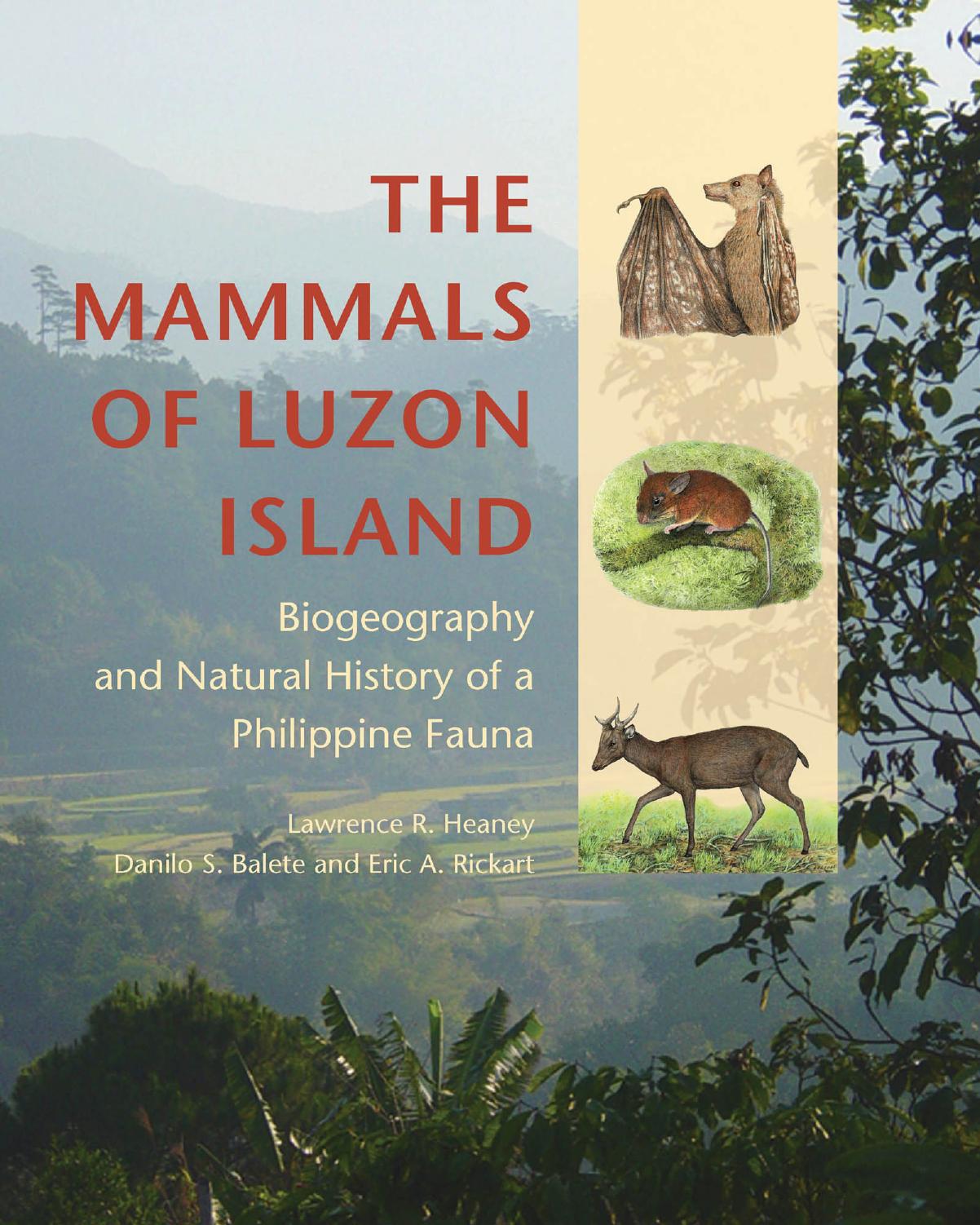 The Mammals of Luzon Island: Biogeography and Natural History of a Philippine Fauna by Lawrence R. Heaney Danilo S. Balete & Eric A. Rickart