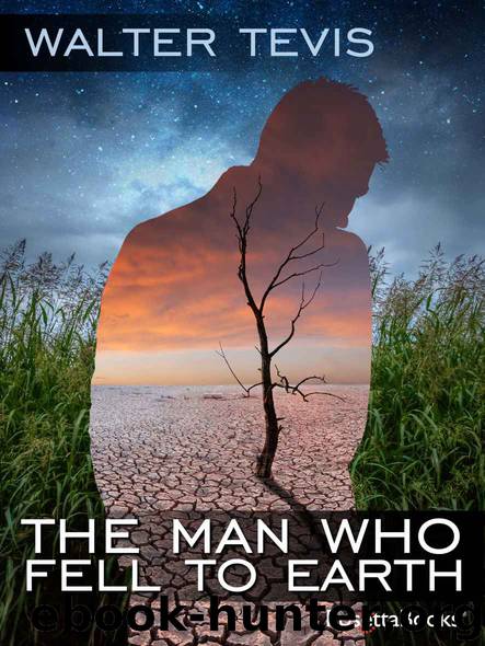 The Man Who Fell to Earth by Tevis Walter