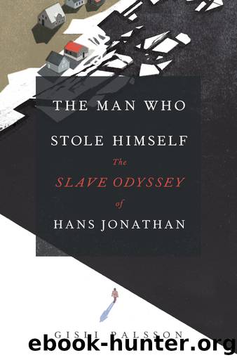 The Man Who Stole Himself by Gisli Palsson;