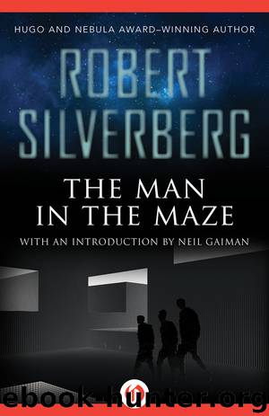 The Man in the Maze by Robert Silverberg