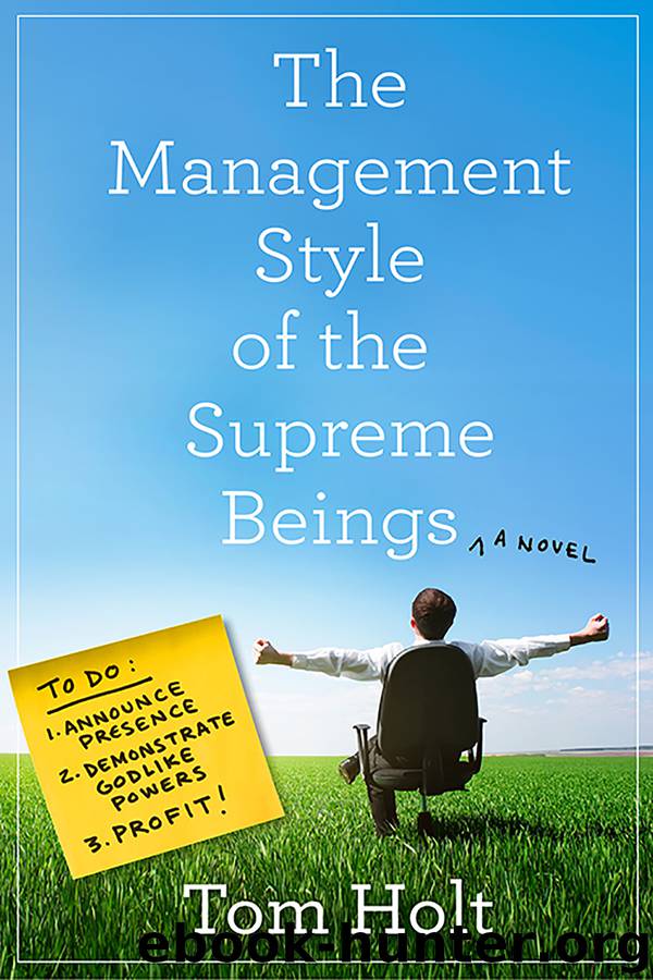 The Management Style of the Supreme Beings by Tom Holt