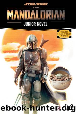 The Mandalorian Junior Novel by Joe Schreiber