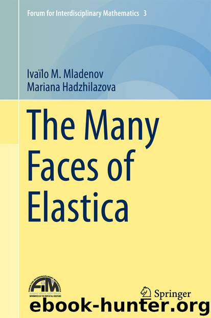 The Many Faces of Elastica by Ivaïlo M. Mladenov & Mariana Hadzhilazova