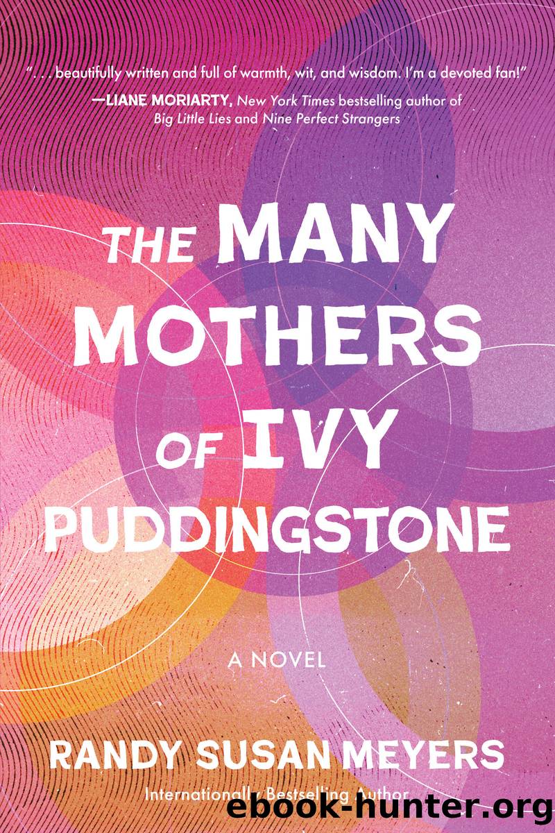 The Many Mothers of Ivy Puddingstone by Randy Susan Meyers