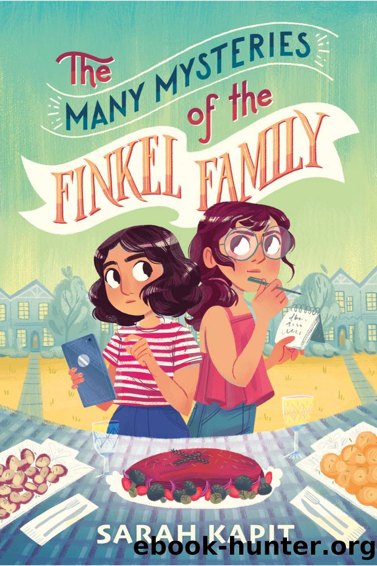 The Many Mysteries of the Finkel Family by Sarah Kapit