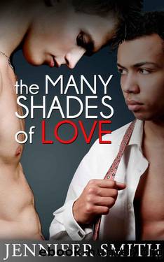 The Many Shades of Love by Smith Jennifer