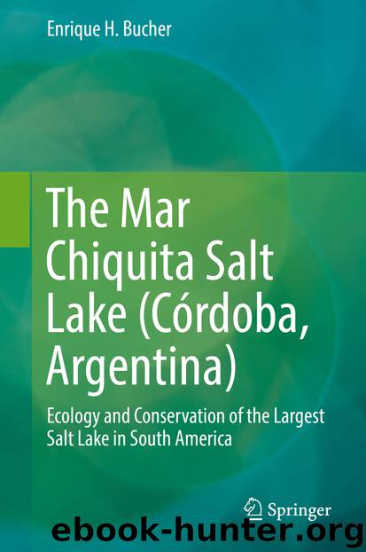 The Mar Chiquita Salt Lake (Córdoba, Argentina) by Enrique H. Bucher