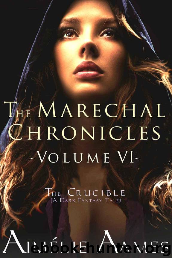 The Marechal Chronicles: Volume VI, The Crucible: A Dark Fantasy Tale by Aames Aimélie