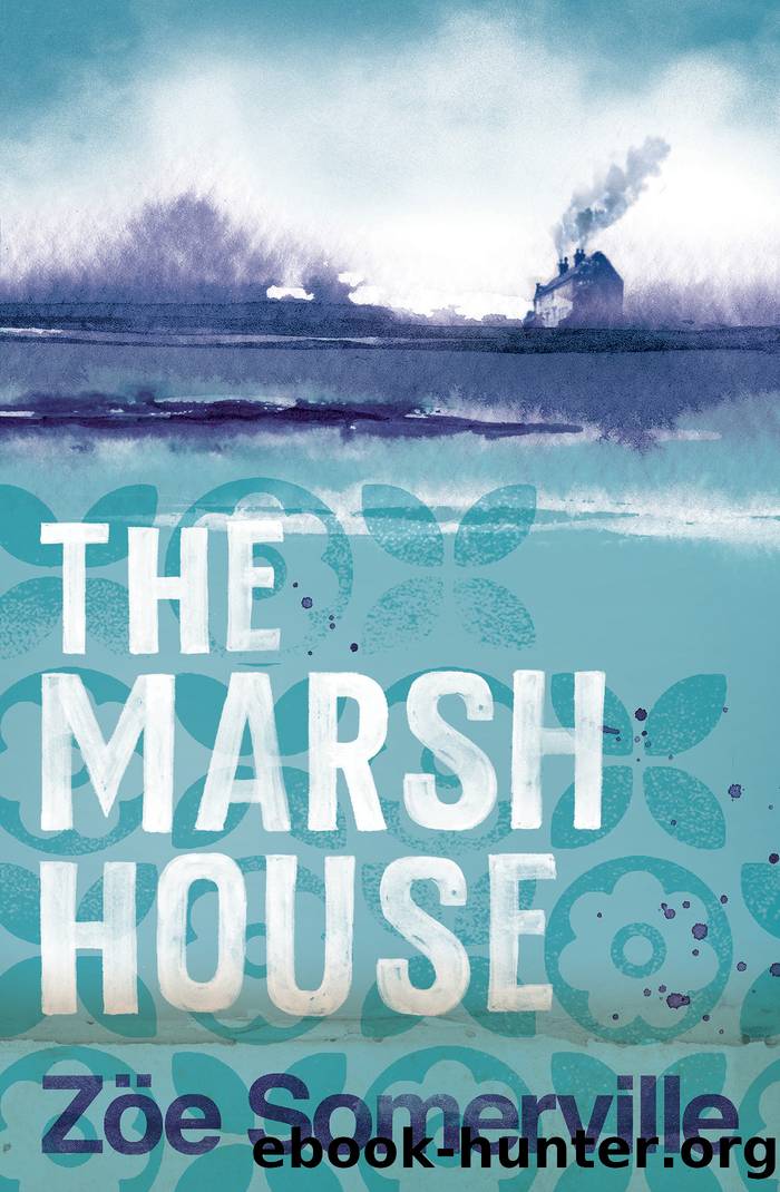 The Marsh House by Zoe Somerville