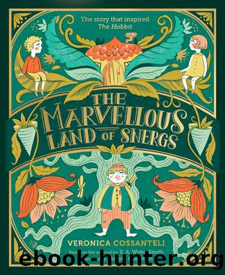 The Marvellous Land of Snergs by Veronica Cossanteli